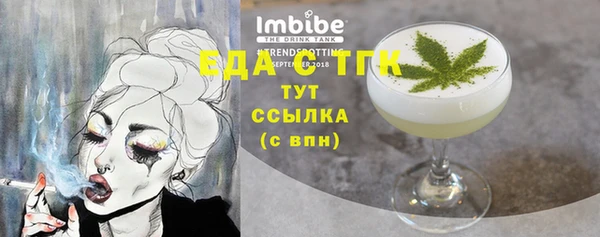 гидра Богородск