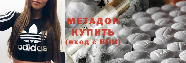гидра Богородск