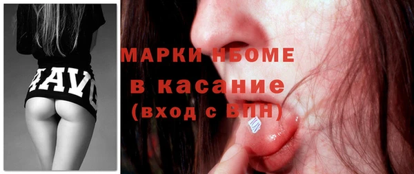 гидра Богородск