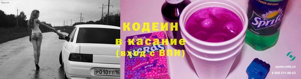 гидра Богородск