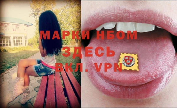кокс Богородицк