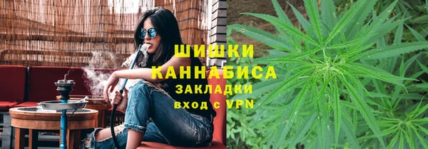 кокс Богородицк