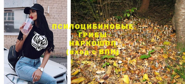 гидра Богородск