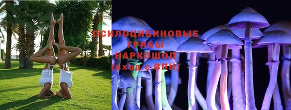 кокс Богородицк