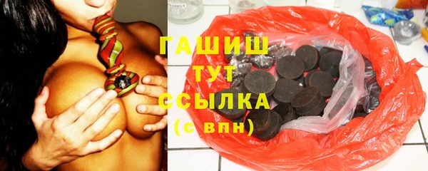 гидра Богородск