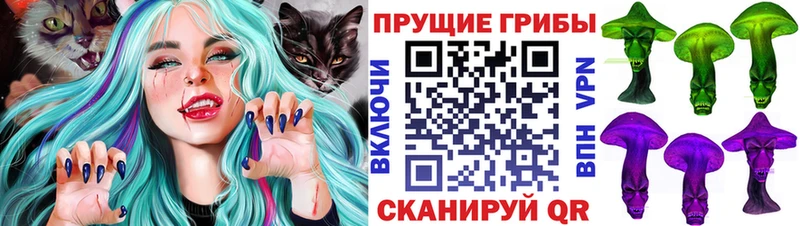 Псилоцибиновые грибы Magic Shrooms  Пыть-Ях 